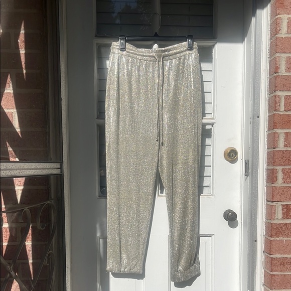 Anthro Metallic Shimmer Joggers - Picture 1 of 5